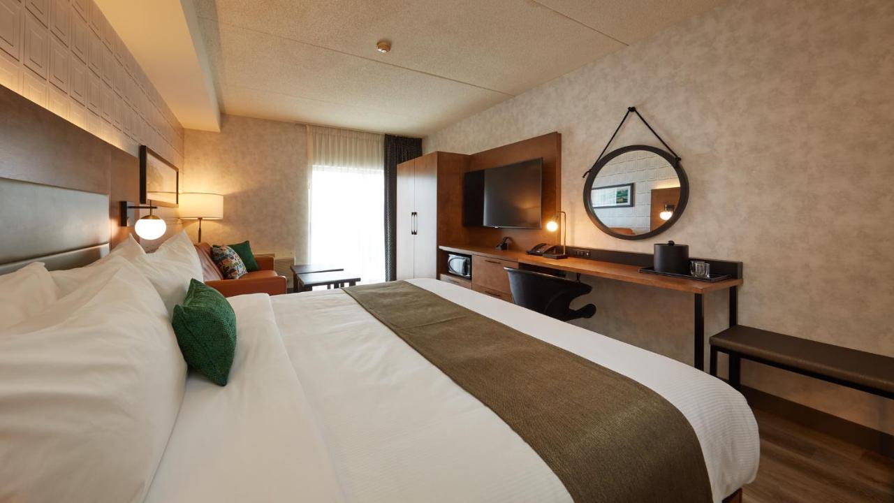 King Room Fully Renovated 2021,1041168961:JPEG
